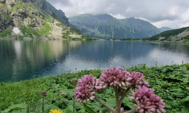 Kelionė į Zakopanę
