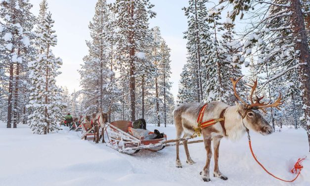 Laplandija – Kalėdų stebuklų ir baltos žiemos šalis